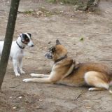 Pippa und Isarah
